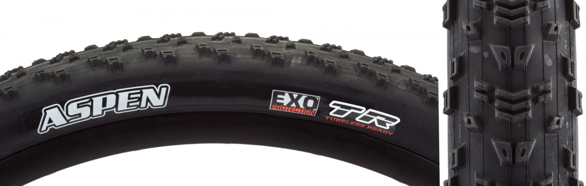Tire Max Aspen 29x2.25 BK FOLD/120 DC/EXO/TR