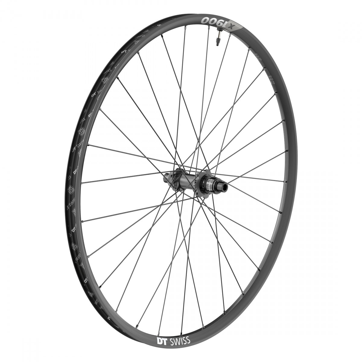WHL RR DT 29 622x25 X1900 Spline 148x12mmTA CL 11-12sXD TBLS (L)