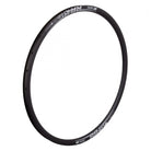 Rim DT 29 622x22 RR481 28 BK Disc TBLS