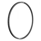 Rim DT 29 622x22 U533 32 BK Disc TBLS