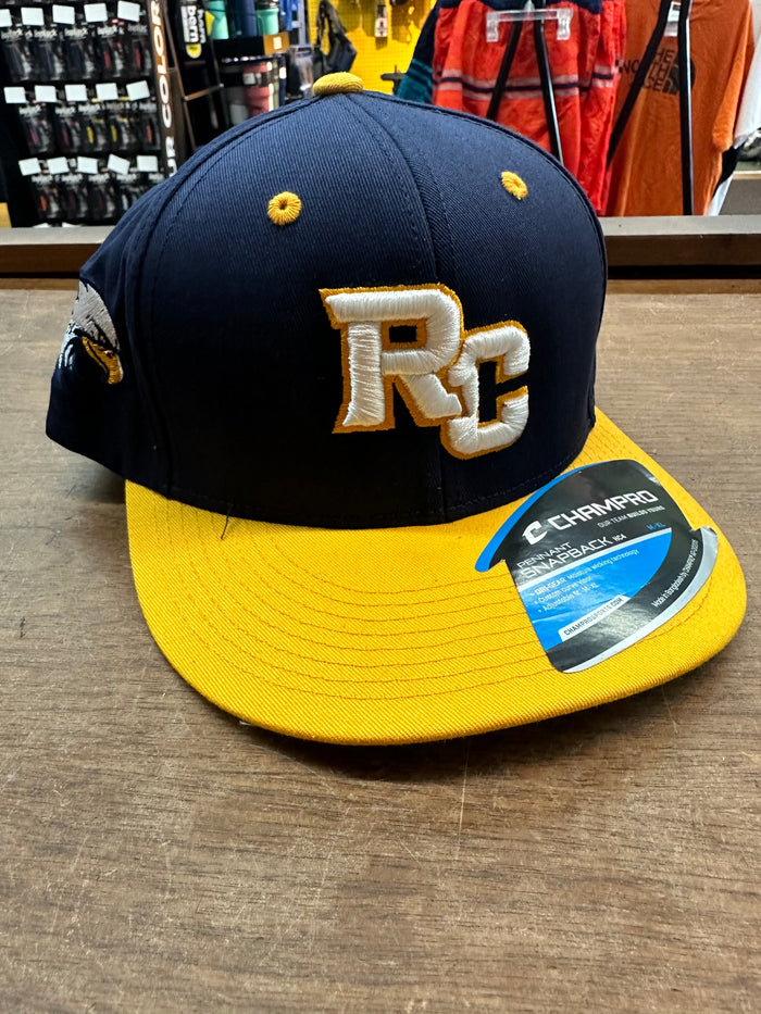 Custom embroidered team hat
